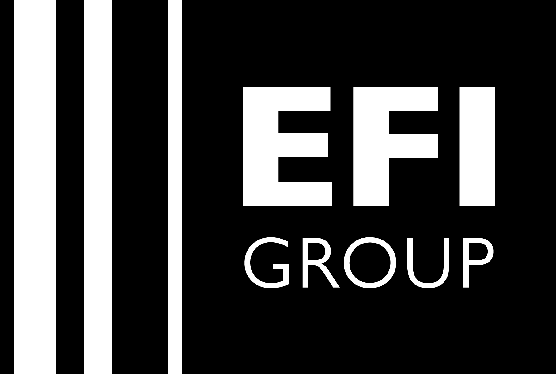 01_logo EFI GROUP Positivo